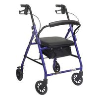 ProBasics Economy Rollator with Loop Brakes and Pouch (Black)