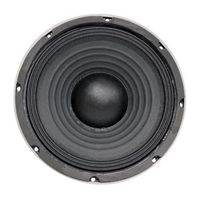 10'' Die Cast Professional Woofer - 250W RMS