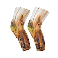 Knee Sleeve Red Fur Squirrel with Autumn Forest Background Full Leg Brace Compression Long Sleeves Pant Socks for Running,Jogging,Sports,Crossfit,Basketball,Joint Pain Relief,Men and Women 1 Pair