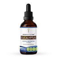 Eucalyptus Alcohol-Free Tincture Extract, Organic Eucalyptus (Eucalyptus Globulus) Dried Leaf Tincture Supplement (4 fl oz)