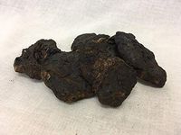 生地 (碳) | Radix Rehmanniae (Carbonized)