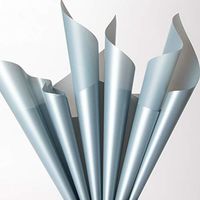 Korean Style Flower Packaging Paper Waterproof Flower Wrapping Paper Floral Bouquet Gift Packaging Supplies 40 Counts,23.6x23.6 inch (Retro Blue)