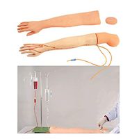 LXX Arm IV Practice Model Phlebotomy and Venipuncture Practice Arm for Training Nurse Apprentice Intravenous Injection,Infusion
