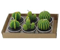 AURNEW 6 Pieces Cactus Tealight Candles Handmade Delicate Succulent Cactus Candles for Party Wedding Spa Home Decoration Gifts (A)