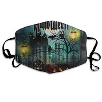 Owl Pumpkin Happy Halloween Designer Dust Mouth Mask Reusable Anti-Dust Face Mask Adjustable Earloop Skin Protection