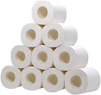 Silky Smooth Soft Professional Series Premium Toilet Paper, Home Kitchen Toilet Tissue, Soft, Strong and Highly Absorbent Hand Towels for Daily Use, Workshop or Restaurant (100g (0.22LB)/Roll,4-Ply,10 Rolls Toilet Paper)