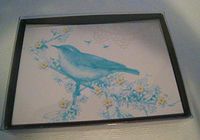 Hallmark Pkg 10 Bluebird Blank Note Cards by Marjolein Bastin