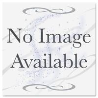 HP CH023A - PAPER,MT POLY,36X100