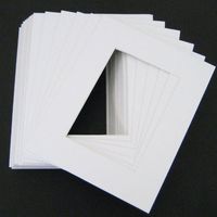Pack of 50 White 16x20 Mats for 12x18 Photo + Backing + Bags