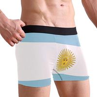 Argentina Flag Men's Sexy Boxer Briefs Stretch Bulge Pouch Underpants Underwear