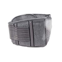 Ellis Lumbar Supports Belt,Waist Protector Lumbar Support Brace Back Pain Relief for Men Women