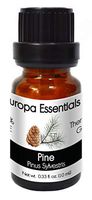 Europa Essentials 100% Pure Therapeutic Grade Essential Oils, 31 Aromatherapy Scents Collection – Pine, 10ml