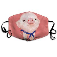 TDynasty Unisex Mouth Mask Funny Pink Cute Pig Filters Breathable Masks Half Face Earloop for Outdoor Cycling