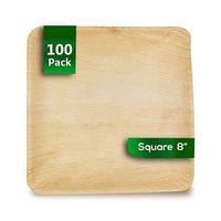 Dtocs Palm Leaf Plates 8 Inch Square (Pack 100) | Eco-Friendly Compostable Disposable Dinnerware Set | Heavy Duty Party Plates for Wedding, Camping, Parties | Bamboo, Wooden Style