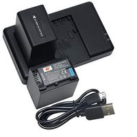 DSTE Replacement for 2X NP-FV100 Battery + Rapid Dual Charger with Micro USB Cable Compatible Sony DCR-SR88 SX83 SX85 HDR-CX210 CX220 CX300 CX350V CX360V CX610E NEX-VG10 PJ820E PJ610E
