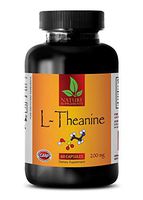 Brain and Memory Support - L-THEANINE 200MG - Dietary Supplement - l theanine Bulk Supplements Capsules - 1 Bottle (60 Capsules)