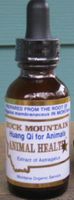 Buck Mountain Astragalus Tincture for Animals- 1ounce by Carols Pet Cafe and Beyond