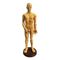 MonkeyJack Acupoint and Meridian Human Body Model Small Bronze Women/Men Model Learning - Male 1