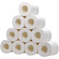 Smooth Soft Professional Series Premium 3-Ply Toilet Paper, 10 rolls,Home Kitchen Enviro Friendly Recycled Toilet Tissue, Soft, Strong and Highly Absorbent Hand Towels (10 pcs)