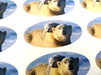 Minilabel Pack Of 30 , Polar Bear Seals , 51X25mm Oval Seal Labels, Stickers For Gift Wrapping, Presents, Envelopes, Bags Or Cards