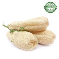Whole Natural Loofah 3 Pcs Vegetable Dish Scouring Pad for Kitchen Bath Sponge Body Exfoliating Scrubber Shower Lufa Loofa Luffa Cellulose Biodegradable Compostable Zero Waste Washer