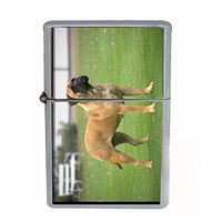 Dog bull mastiff Dual Torch Lighter