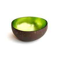 homeart Coconut Bowl, Ring Bowl, Tree Planter, Silver Leaves Lacquer