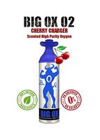 Big Ox O2 - 10LITERS Oxygen CAN - 95% Pure Oxygen, 100-200 Breaths, 1-2 Seconds Each. 2 Cans - Flavorless