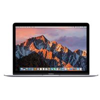Apple MacBook (12", 1.2GHz dual-core Intel Core m3, 8GB RAM, 256GB SSD) - Space Gray