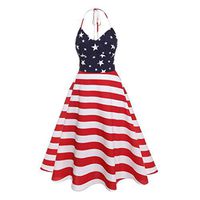 Fanteecy Womens Vintage American Flag Sleeveless V Neck Flare Evening Party Prom Swing Midi Dress (M, Red)