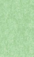 Tissue Paper in Light Green Finish 20 x 30 Inches - Pack of 120