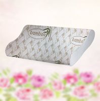 Spring Sleep Sleep Memory Foam Contour Pillow Organic Bamboo Cover, Standard Size