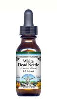 White Dead Nettle - Glycerite Liquid Extract (1:5) - Strawberry Flavored (1 fl oz, ZIN: 428347) - 3 Pack