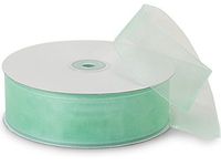 Cool Mint Sheer Organza Ribbon