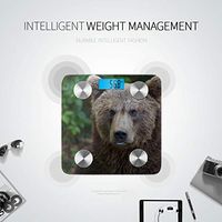 Brown Bear Standing in The Wood Scale Weight Digital Weighing Scale Body Scale Tracks 8 Key Compositions Analyzer Sync with Fitness Apps 400 Lbs
