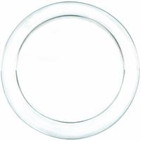 Amscan Dinner Plates 9'  24/Pkg Clear Plastic