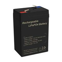 TalentCell 2000 Cycles 6V 6Ah Rechargeable Lithium Iron Phosphate (LiFePO4) Battery Pack