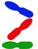 Perfect Stix ASO24W-UN Colored-1000 3" Colored Craft Spoons, Blue/Red/Green, 0.1" Height, 0.5" Width, 3" Length (Pack of 1000)