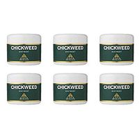 (6 PACK) - Bio-Health Chickweed Ointment | 42g | 6 PACK - SUPER SAVER - SAVE MONEY