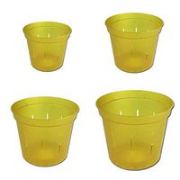 Slotted Clear Orchid Pots by rePotme - Growers Assortment (8 pots - 2 Each, Yellow Topaz)