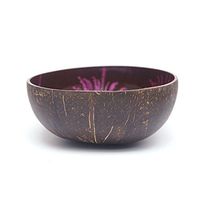 homeart Coconut Bowl, Ring Bowl, Tree Planter, Splat Design