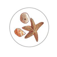 Beach Envelope Seals - 1.2" Circle Shells Stickers - 144 Circle Stickers (Shells)