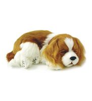 Wind & Weather Perfect Petzzz Cavalier King Charles Puppy