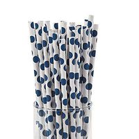 Blue Polka Dot Paper Straws 2pack