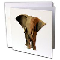 3dRose African Elephant - Greeting Cards, 6 x 6 inches, set of 12 (gc_26449_2)