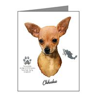 Note Card Chihuahua from Toy Group and Mexico