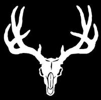 Just For Fun White - 5.5 x 5.5 Mule Deer Skull Deer Vinyl Die Cut Decal Bumper Sticker, Windows, Cars, Trucks, laptops, etc