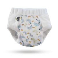 Nighttime Undies (Size 4 (10-12 yrs), Pigeon)