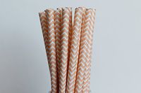 Peach Chevron Paper Straws (75)