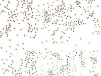 Christmas Print Cello Bags - Gold Sprinkles 5x3x11" Cello Bags 1.2 mil (2 Packs; 100 Bags Per Pack) - WRAPS-C4BGS